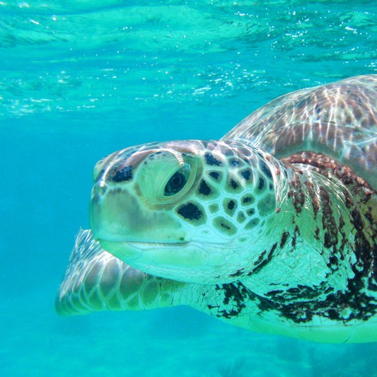 cropped-p296344538-4